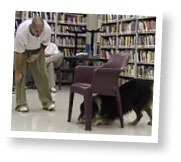 dog searching for keys